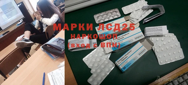 гашик Аркадак
