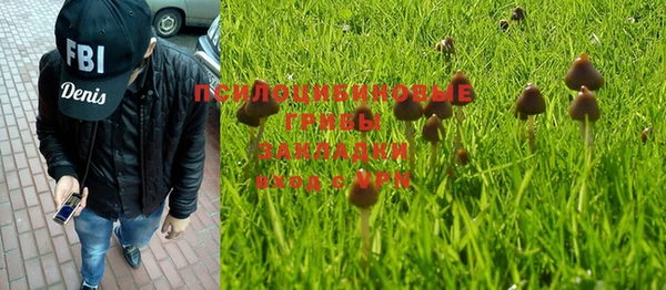 гашик Аркадак